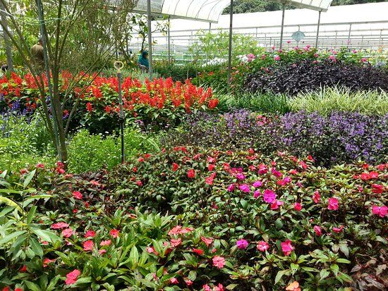 Taman AgroTeknologi MARDI Cameron Highlands